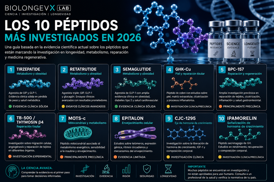 Los 10 péptidos más investigados en 2026